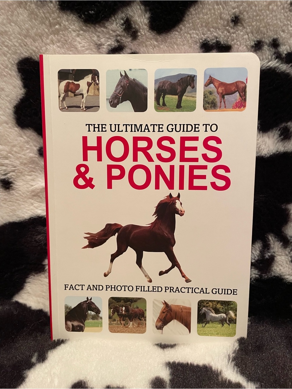 The Ultimate Guide to Horse and Ponies Paperback Book